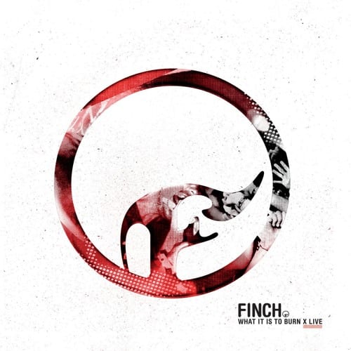 Finch (UK)