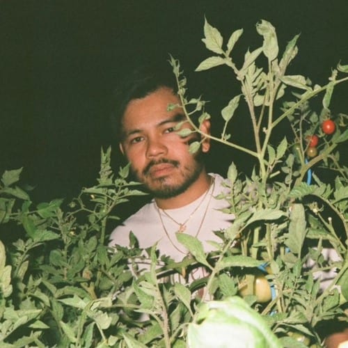 DJ Houseplants