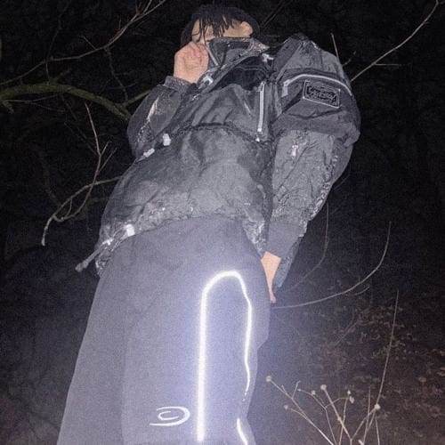 Stolen Velour